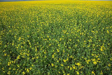 第三人称动作射击游戏《外界锻造》已上线Steam平台 将已抢先体验形式推出